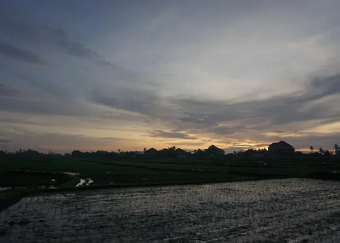 Uma Ubud (Bali)